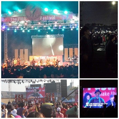 141009_thefirefestival.jpg