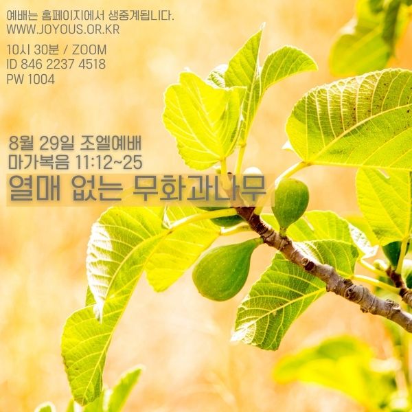 조엘_공지.jpg