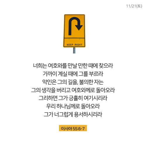 D12_1121토.png