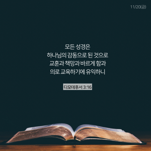 D13_1120금.png