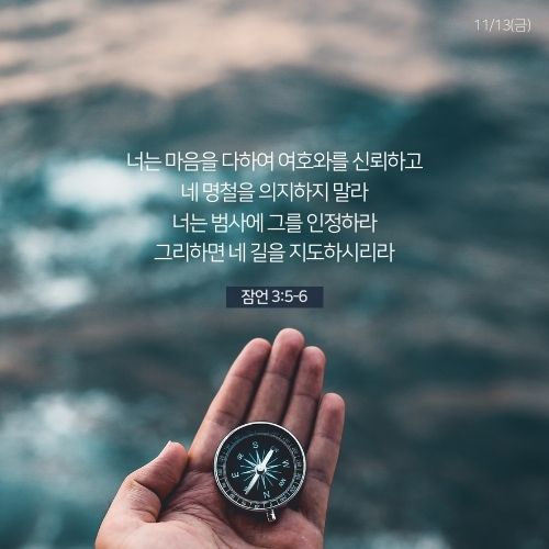 D20_1113금.jpg