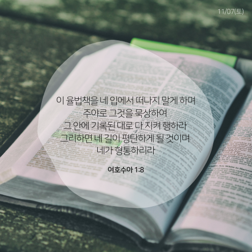 D26_1107토.png