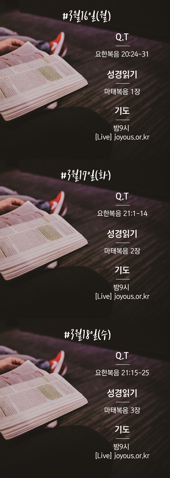 월_수.jpg