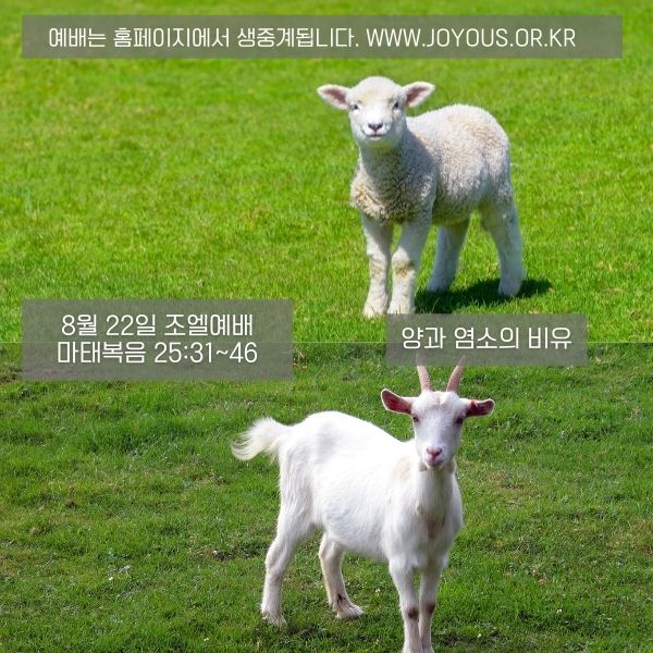조엘_공지.jpg