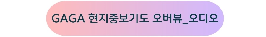 GAGA 현지중보기도 오버뷰_오디오