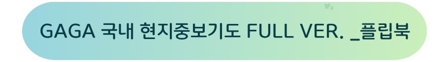 GAGA 국내 현지중보기도 FULL VER._플립북